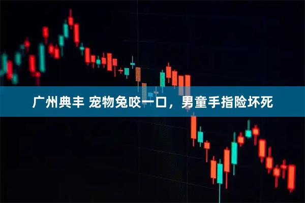 广州典丰 宠物兔咬一口，男童手指险坏死