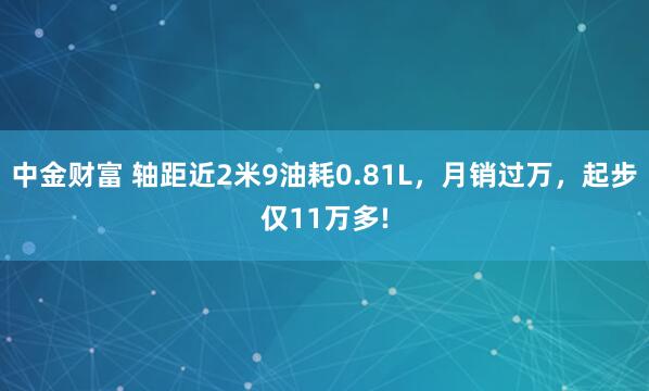 中金财富 轴距近2米9油耗0.81L，月销过万，起步仅11万多!