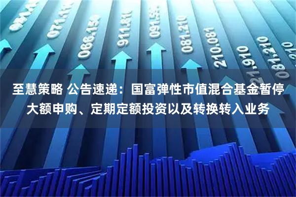 至慧策略 公告速递：国富弹性市值混合基金暂停大额申购、定期定额投资以及转换转入业务