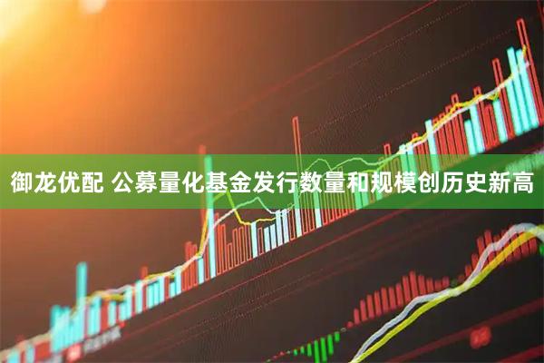 御龙优配 公募量化基金发行数量和规模创历史新高