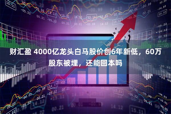 财汇盈 4000亿龙头白马股价创6年新低，60万股东被埋，还能回本吗
